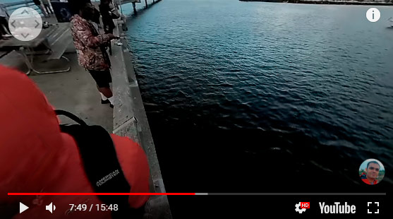  360-degree darkened areas on the shot that was made by Rylo